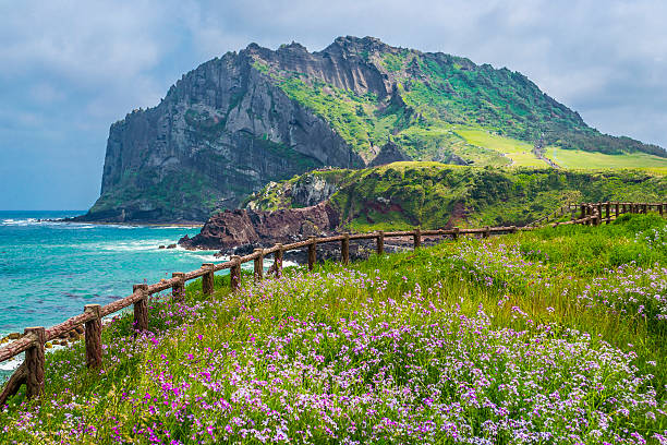 Pulau Jeju, yang dikenal dengan pemandangan alamnya yang menakjubkan